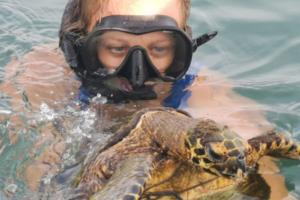 Costa Rica Sea Turtle Rescue