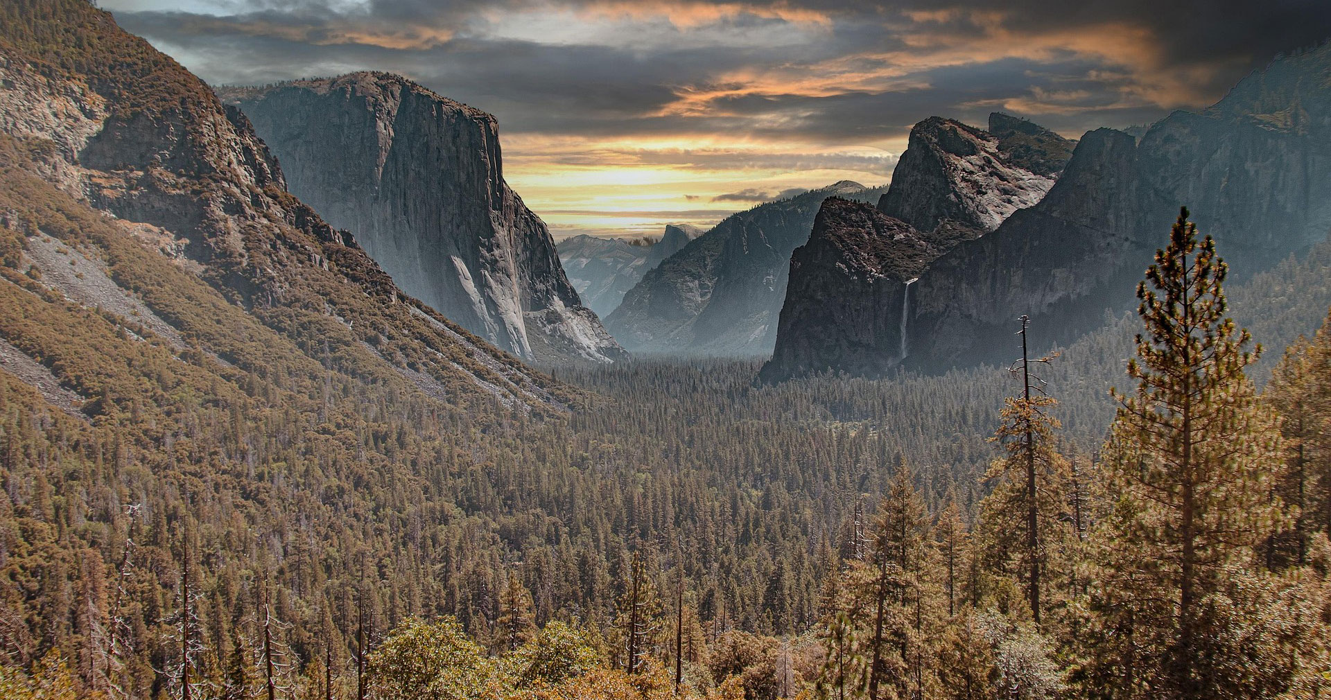Yosemite National Park