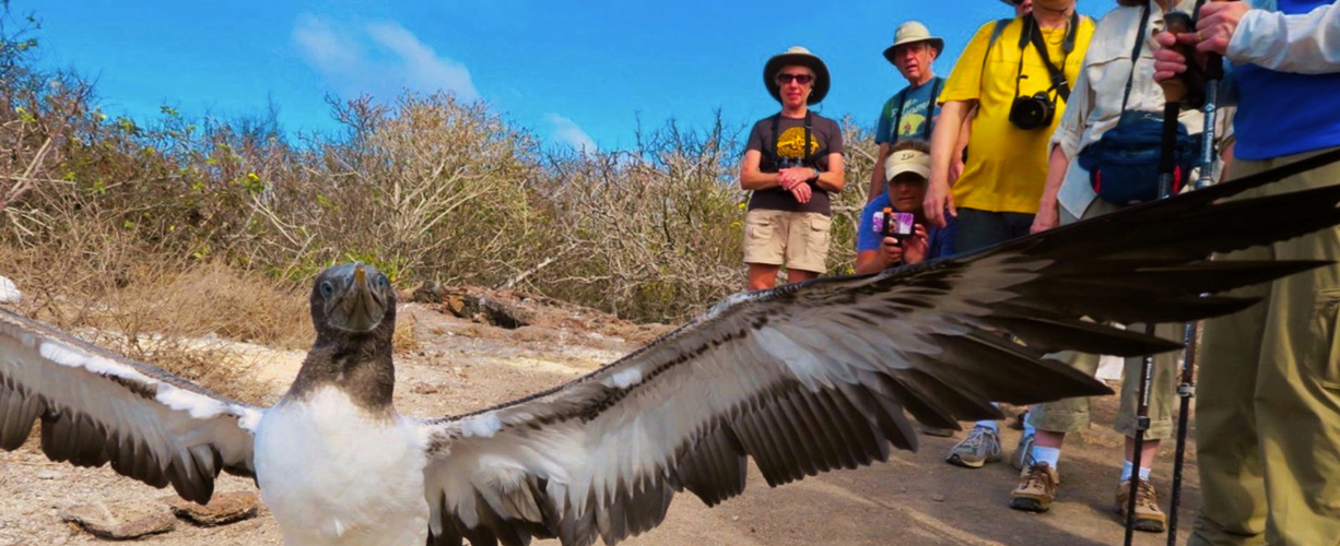 Galápagos Islands Conservation