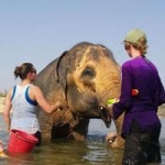 Volunteer Vacation Thailand
