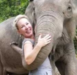 Thailand: Elephants